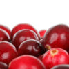 Cranberry and D Mannose - Logo 1 - image of cranberries