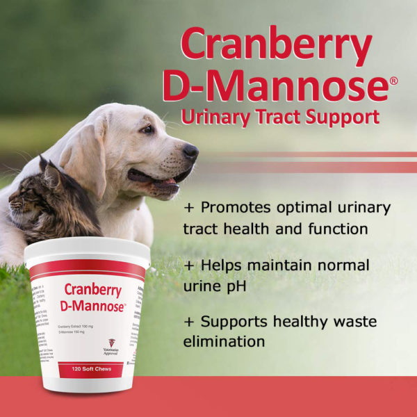 Pet Health Solutions Cranberry D-Mannose 120 Chews
